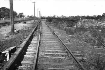 50. Springfield Car Shed D Site-Locust Mnr-West-6-25-37.jpg (116893 bytes)